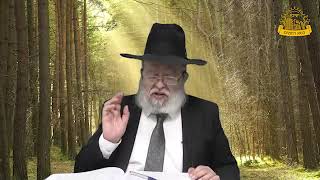 דף היומי בחצי שעה – סנהדרין דף צ”ז