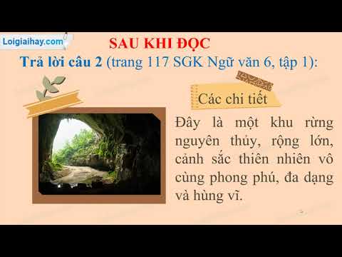 Soạn bài Hang én SGK Ngữ văn 6 tập 1 Kết nối tri thức với cuộc sống chi tiết | Soạn văn 6 - KNTT chi tiết