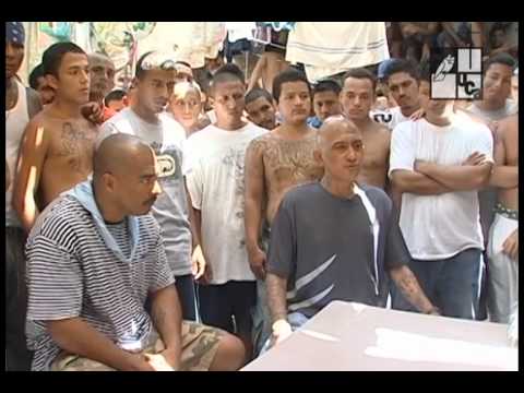 Peace in the Neighborhood (2012)