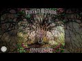LuneCell One Flew Over Atriohm Remix