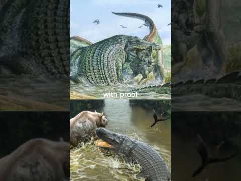 deinosuchus hatcheri vs purussaurus brasiliensis with proof #deinosuchus #alligator #caiman #phonk