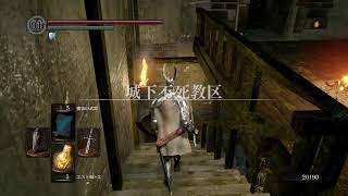 身内向け　ダクソ　五回目