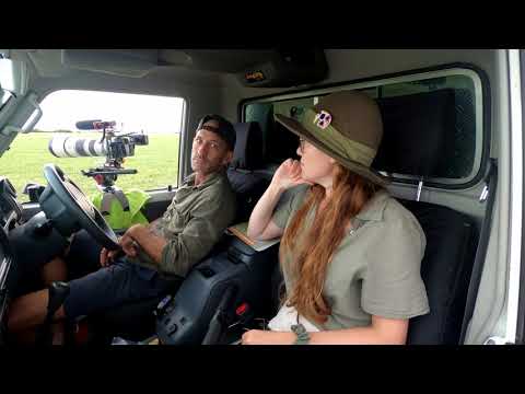 Lion & Cheetah | Self Drive 4x4 Botswana | Chobe4x4 | Ep 10