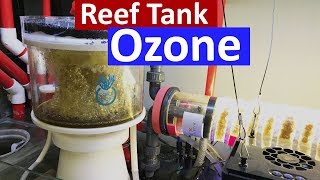 Reef Tank Ozone - Crystal Clear Water in The Marine Aquarium using a ozone generator