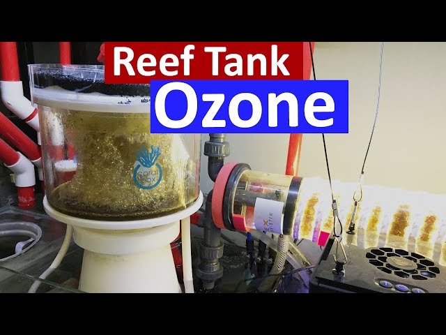 Reef Tank Ozone - Crystal Clear Water in The Marine Aquarium using a ozone generator