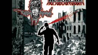 VIOLENT HEADACHE (split cd with Necromorph) 2009