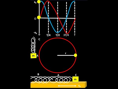 How to Compare Circular Motion with Simple harmonic motion(Animated)
