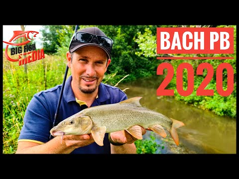 Angeln am Bach - Spontan mit der Pose