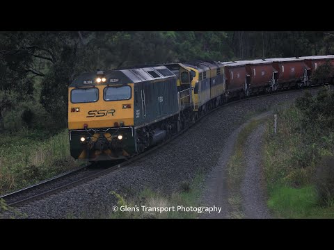 SSR’s RL304, 4917, GM10, GM22, 44206, 869, 48s35 and C506 on Train 5446 at Ardglen NSW - 29/1/2022