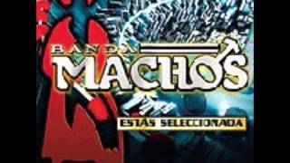 banda machos y como es el.wmv