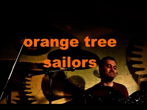 Orange tree - Sailors