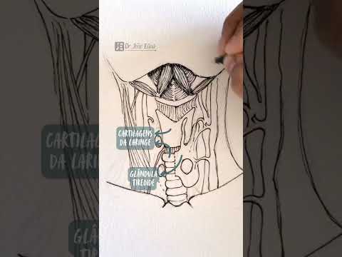 João Elias De Godoi-19