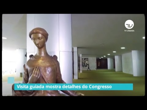 Câmara terá visita guiada virtual - 12/11/20