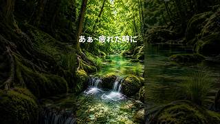 【ストレスが解消する川の音】秘境の小川のせせらぎ・リラックス・安眠用 Ultimate Healing: Peaceful Forest Stream Sounds to Rest Your Mind