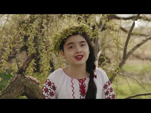 Milena Cojocaru - Lîng-o salcie înaltă