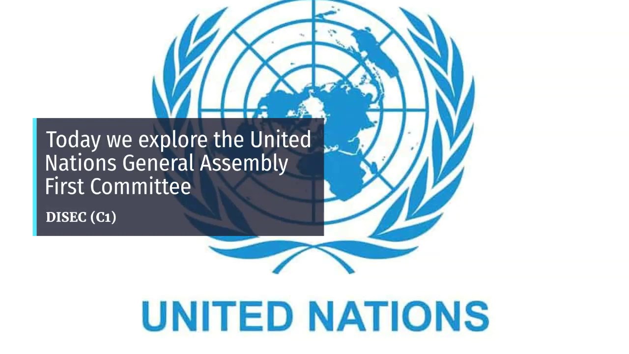 DISEC (Disarmament and International Security Committee)