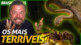 Miniatura do vídeo