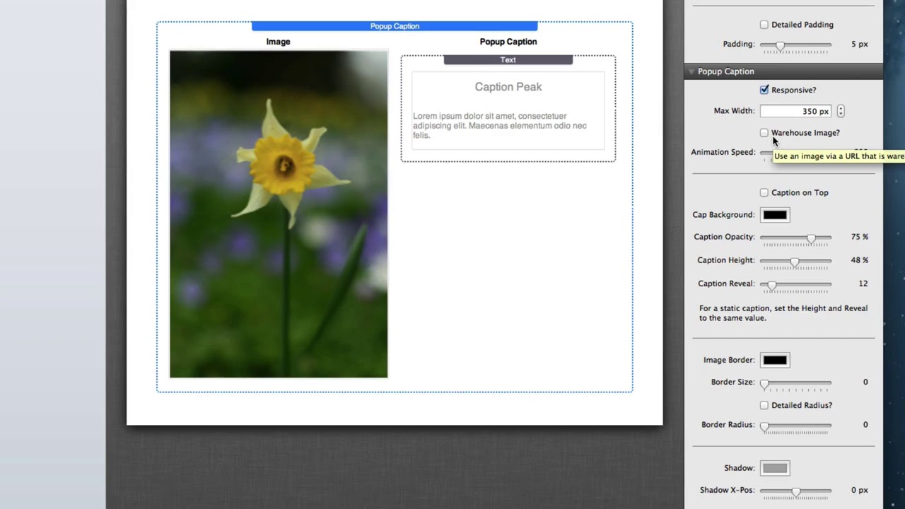 PopUp Caption Stack for RapidWeaver