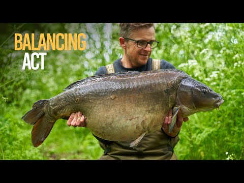 Neil Spooner Catches MONSTER CARP, BRACE OF 40's!