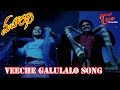 Veeche Galulalo Song From Maharadhi Balakrishna Sneha Meera Jasmine Navaneet Kour