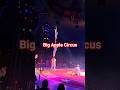 Big Apple Circus