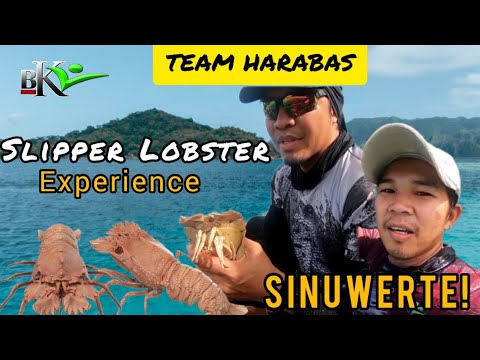 318-TEAM HARABAS SLIPPER LOBSTER EXPERIENCE NAKARAMI KAMI NG HULI | BUHAY PROBINSYA | BUKIDS