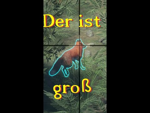 Geduld Lohnt sich hier cotw