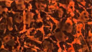 Skysaw - No One Can Tell