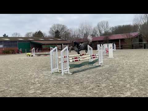 Win-Nelly. February 2020