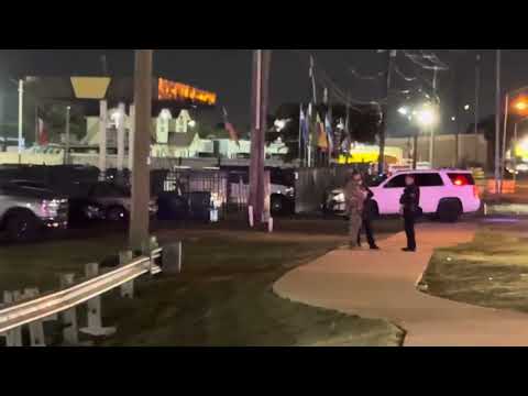 Chicas Bonitas Ice RaidDallas Tx