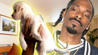 ♫ Live on the Internet Song - Rhett &amp; Link (feat. Snoop Dogg)