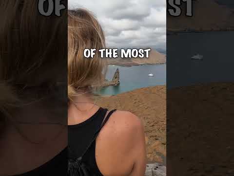 Thumbnail for Best trip in over a year of travelling the world! #cruise #travelcreator #galapagos