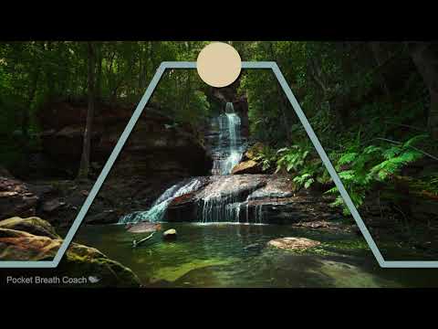 5 Minute Box Breathing Exercise to Release Stress