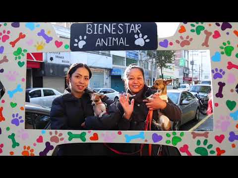 Cierre Jornada Servicios Públicos Tlalnepantla C.