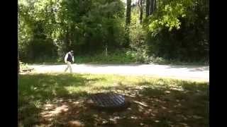 Made in the Shade-Lynyrd Skynyrd