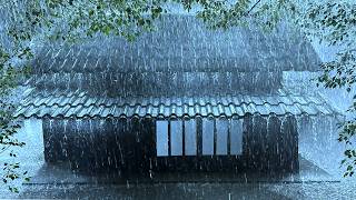 Absolutely Relaxing Treatment and Sleep Instantly with Terrible Rain & Loud Thunder Sounds at Night