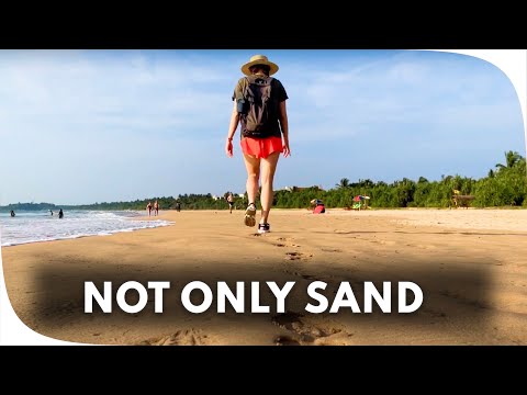 Why are Sri Lankan Beaches Best in The World