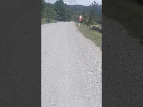 Chinese Gardens Ross West Coast Ben & Jas Bens NZ Road trip 2026.