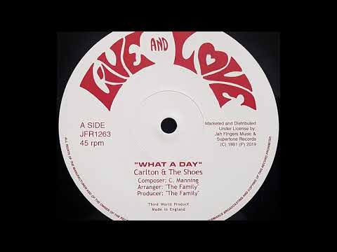CARLTON & THE SHOES - What A Day [1981]