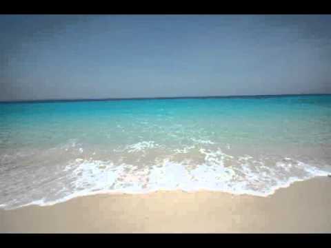 Rysininku Blokas-Nepalik (2009)