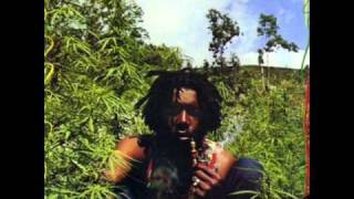 Peter Tosh - No sympathy