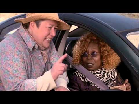 You should have bought a squirrel!