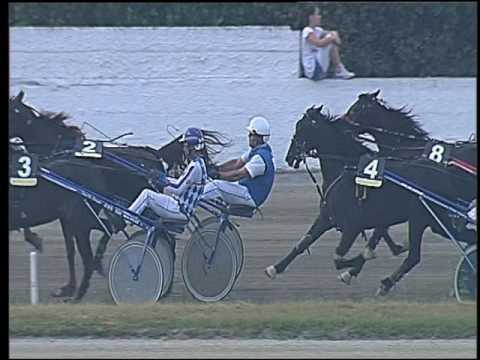 Trotto 11/06/2016 - 8° corsa