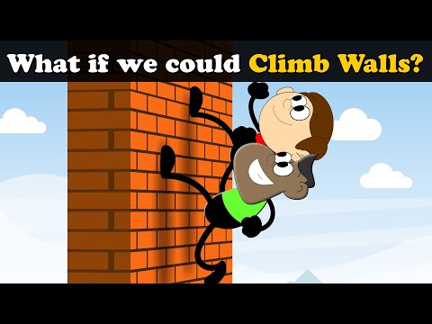 What if we could Climb Walls? + more videos | #aumsum #kids #science #education #whatif