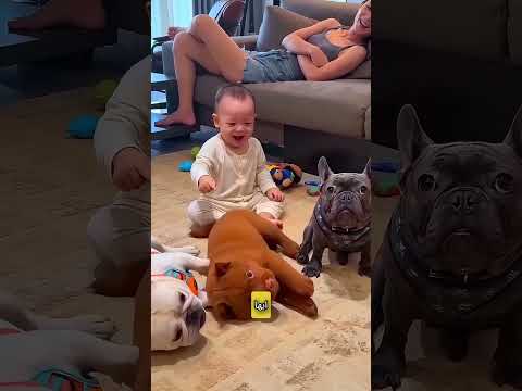 نداء لطيف للنوم للجراء! 🐶💤