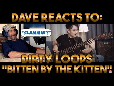 Dave's Reaction: Dirty Loops — Bitten By The Kitten