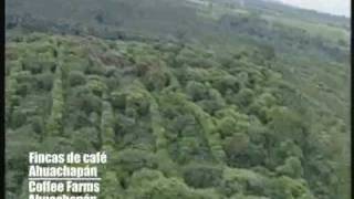 preview picture of video 'Fincas de café en Ahuachapan desde un Helicóptero, El  Salvador'