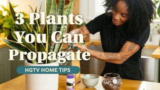 Turn Your Houseplants Into MORE Plants (for Free!) | HGTV Home Tips