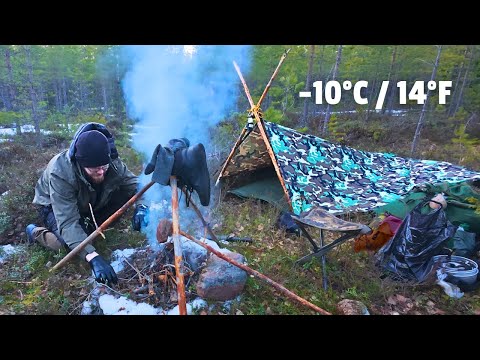 Overnight BUSHCRAFT camping trip to a SWAMP (Solo, Winter Survival, Cooking)