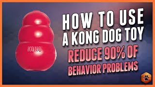 How to Use Kong Toys to Help Enrich Your Dog